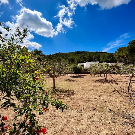 Βίλα Walk To Unvrs & Amnesia - 4Br Finca - Private Pool & Forest Σαν Αντόνιο